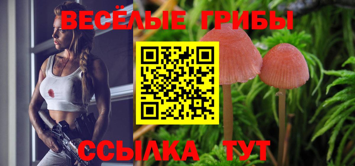 Псилоцибиновые грибы Psilocybe Алексеевка